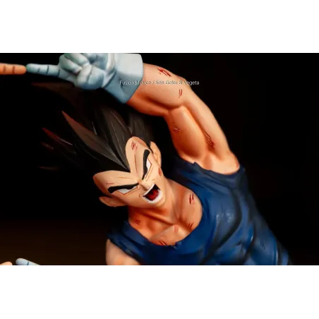 Dragon Ball Z Fusion Pose Fusion Force Studio