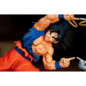 Dragon Ball Z Fusion Pose Fusion Force Studio