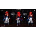 Dragon Ball GT Gogeta SSJ4 Plastic Soul Studio