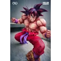 Dragon Ball Z Goku Kaioken Infinite Studio