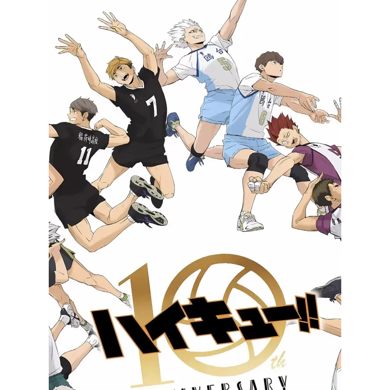 Haikyuu 10 Anniversary Haikyuu Decorative Painting XingKong Studio