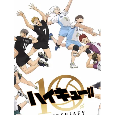 Haikyuu 10 Anniversary Haikyuu Decorative Painting XingKong Studio
