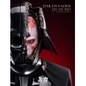 Star Wars Darth Vader Life Size Bust Force Laboratory