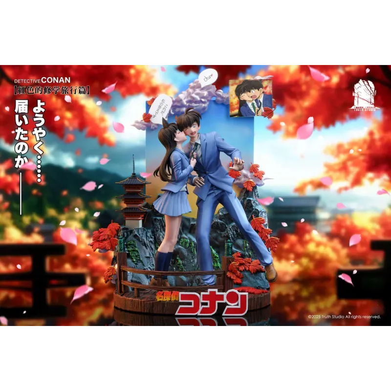 Detective Conan Shinichi Kudo & Mouri Ran Truth Studio