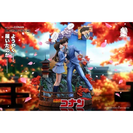 Detective Conan Shinichi Kudo & Mouri Ran Truth Studio