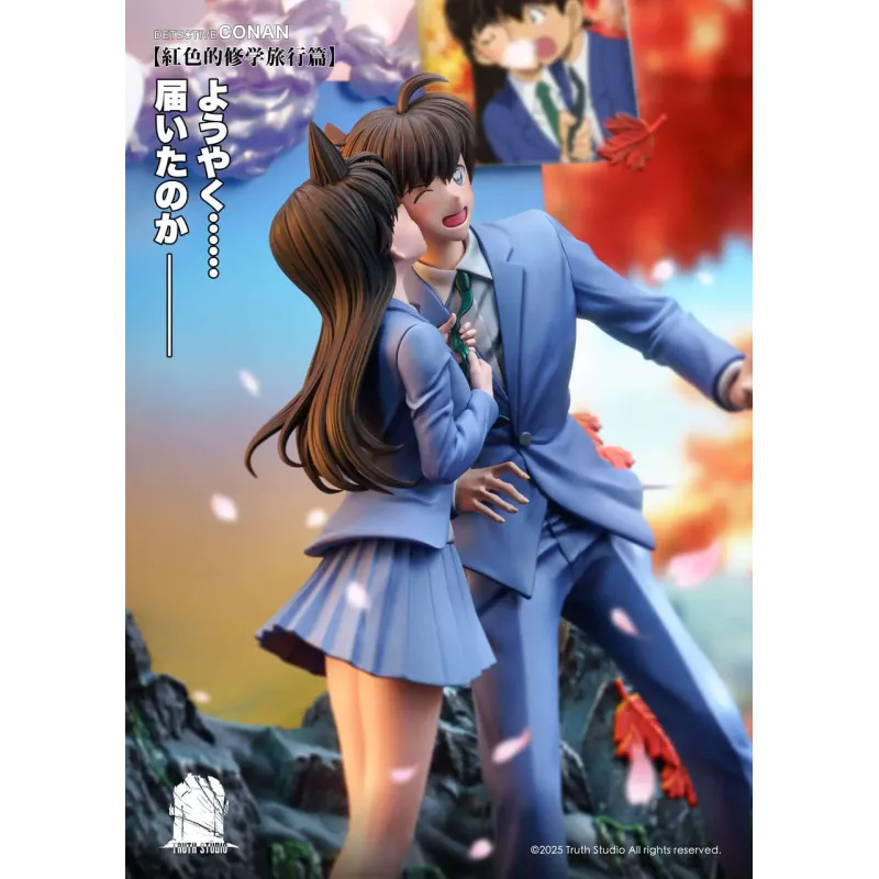 Detective Conan Shinichi Kudo & Mouri Ran Truth Studio
