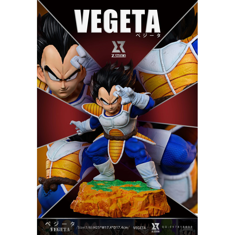 Dragon Ball Z Vegeta Z Studio