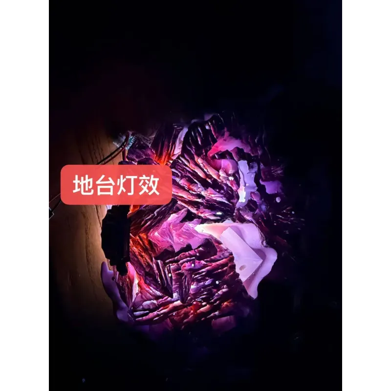 Katekyo Hitman Reborn Hibari Kyoya Rhinoceros Studio