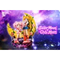 Sailor Moon Sailor Moon & Chibi Moon Chibi Studio