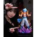 Dragon Ball Z Gogeta Fusion Force Studio X WDF Studio
