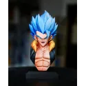 Dragon Ball Z Gogeta Fusion Force Studio X WDF Studio