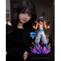 Dragon Ball Z Gogeta Fusion Force Studio X WDF Studio
