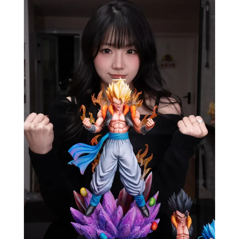 Dragon Ball Z Gogeta Fusion Force Studio X WDF Studio