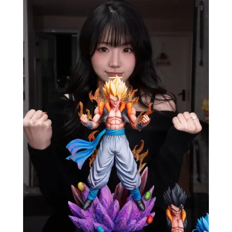 Dragon Ball Z Gogeta Fusion Force Studio X WDF Studio