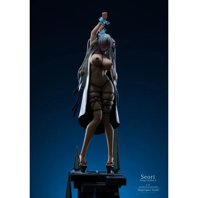 Ninja Gaiden Seori Hyperspace Studio