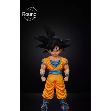 Dragon Ball Z Goku Round Studio