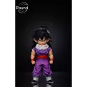 Dragon Ball Z Gohan Round Studio