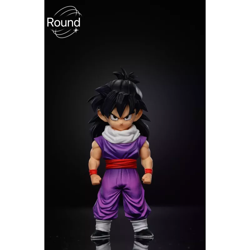 Dragon Ball Z Gohan Round Studio