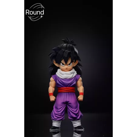 Dragon Ball Z Gohan Round Studio