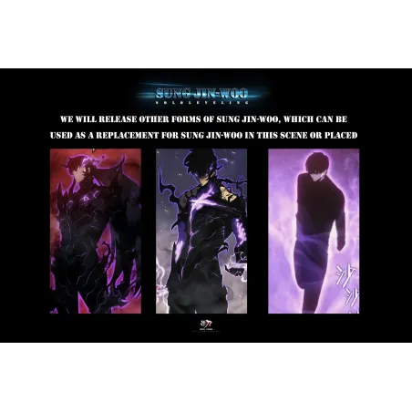 Solo Leveling Sung Jin Woo Shadow Monarch Niren Studio