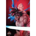 Dragon Ball Z Goku vs Vegeta Xia Fan Shang Studio