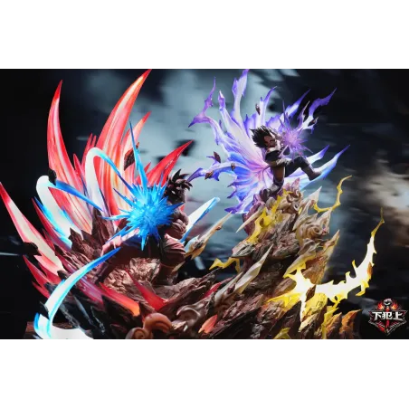 Dragon Ball Z Goku vs Vegeta Xia Fan Shang Studio