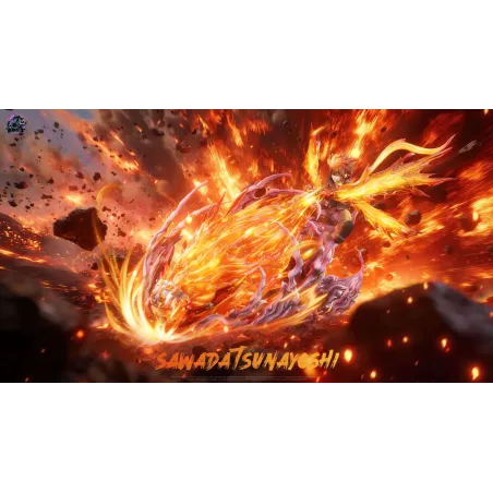 Katekyo Hitman Reborn Double X Burner Sawada Tsunayoshi Rhinoceros Studio