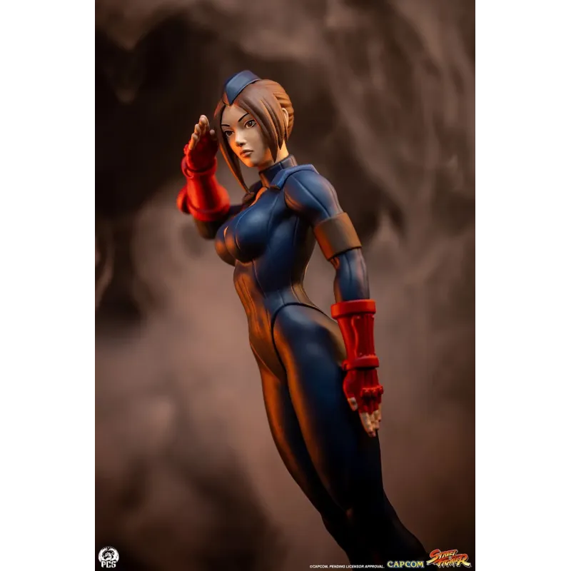 Street Fighter Sagat X Juli PACK PCS