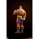 Street Fighter Sagat X Juli PACK PCS