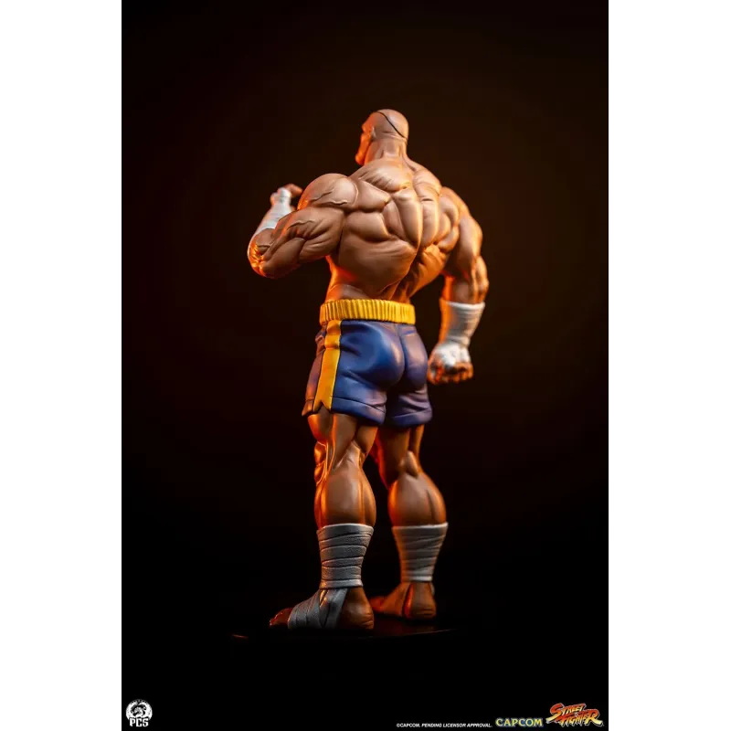 Street Fighter Sagat X Juli PACK PCS