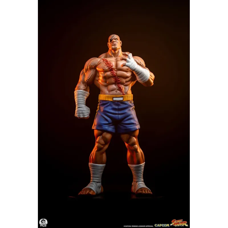 Street Fighter Sagat X Juli PACK PCS