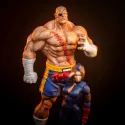 Street Fighter Sagat X Juli PACK PCS