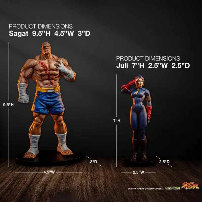 Street Fighter Sagat X Juli PACK PCS