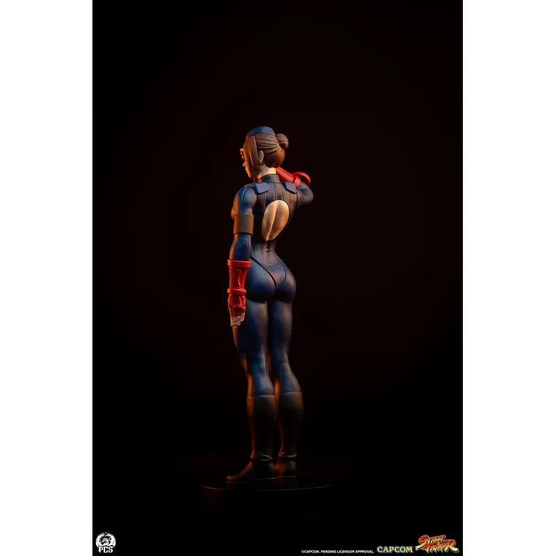 Street Fighter Sagat X Juli PACK PCS