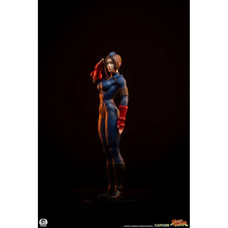 Street Fighter Sagat X Juli PACK PCS