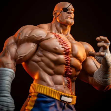 Street Fighter Sagat X Juli PACK PCS