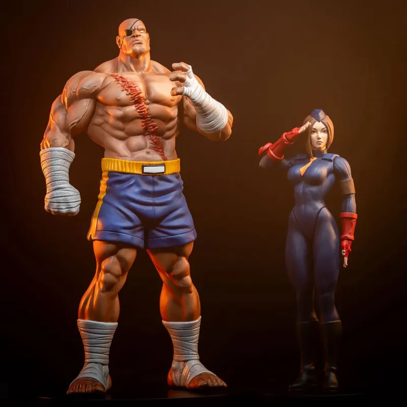 Street Fighter Sagat X Juli PACK PCS