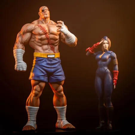 Street Fighter Sagat X Juli PACK PCS