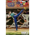 Street Fighter ChunLi Storm Arena