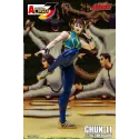 Street Fighter ChunLi Storm Arena