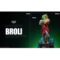 Dragon Ball Z Broly Element Studio