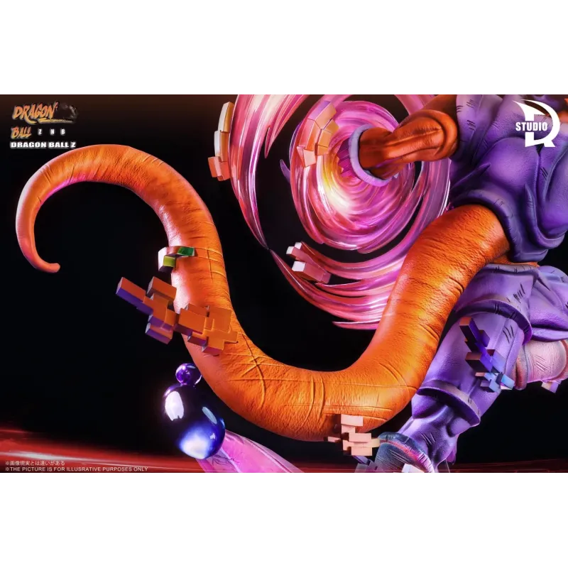 Dragon Ball Z Janemba TDR Studio