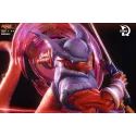 Dragon Ball Z Janemba TDR Studio
