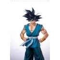 Dragon Ball Z Master Son Goku Juann Studio