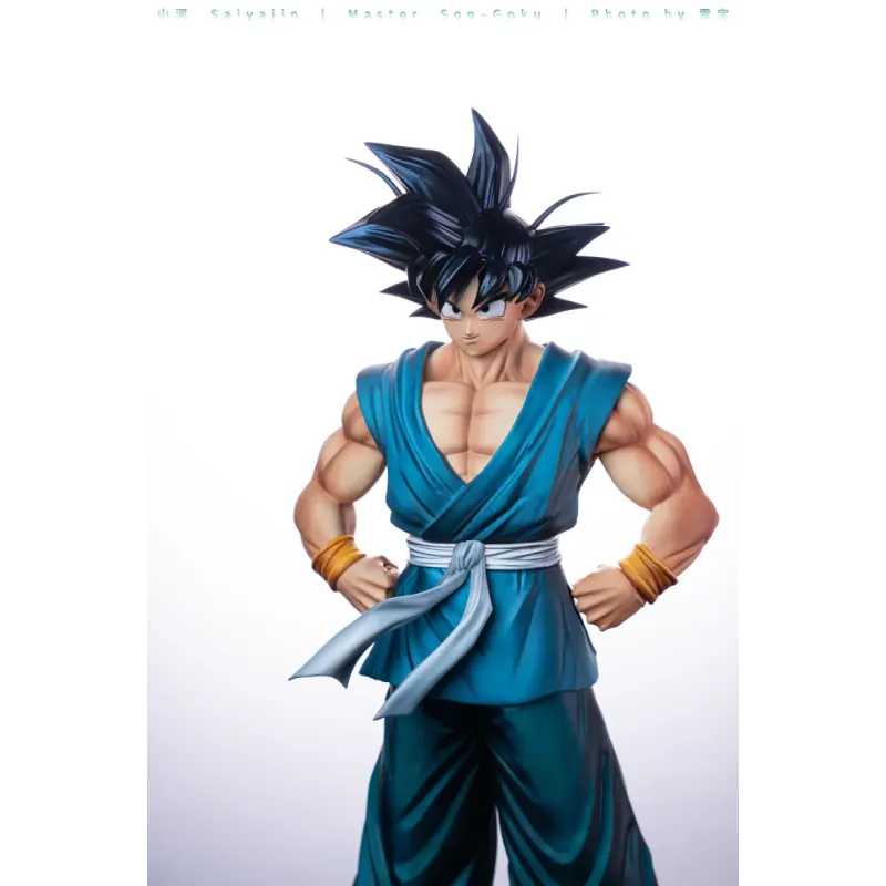 Dragon Ball Z Master Son Goku Juann Studio