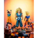 Dragon Ball Z Master Son Goku Juann Studio