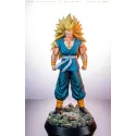 Dragon Ball Z Master Son Goku Juann Studio