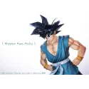 Dragon Ball Z Master Son Goku Juann Studio
