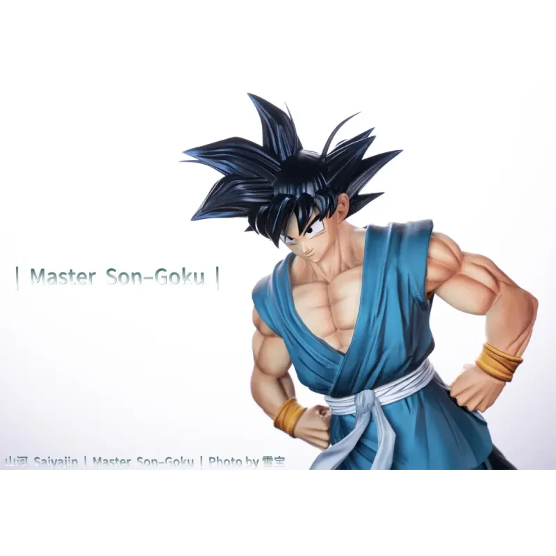 Dragon Ball Z Master Son Goku Juann Studio