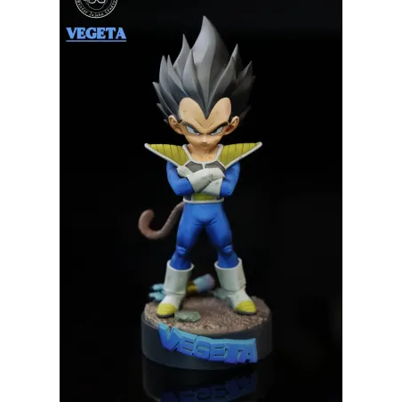 Dragon Ball Z Childhood Vegeta Dong Zao Studio